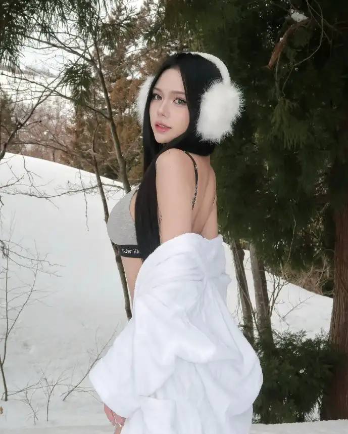 福尔摩斯下载界面